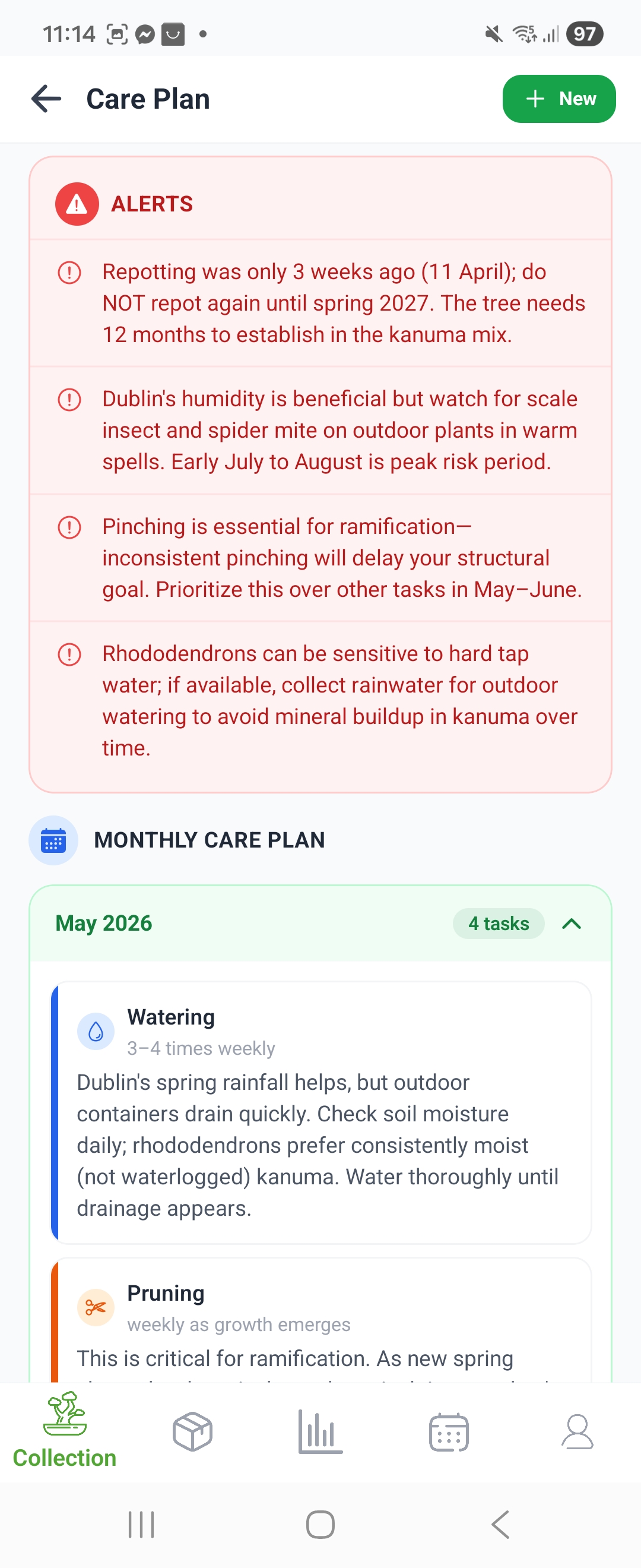 Monthly care plan screen