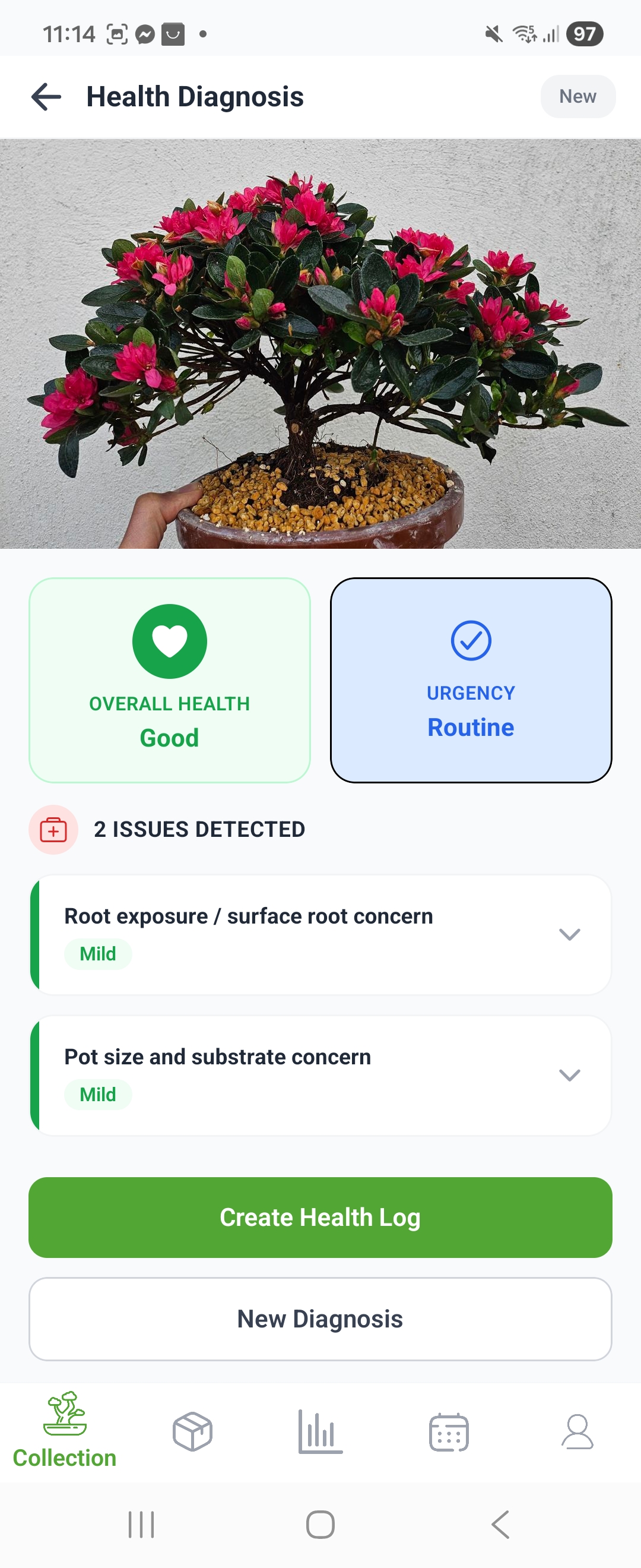 Health diagnosis screen