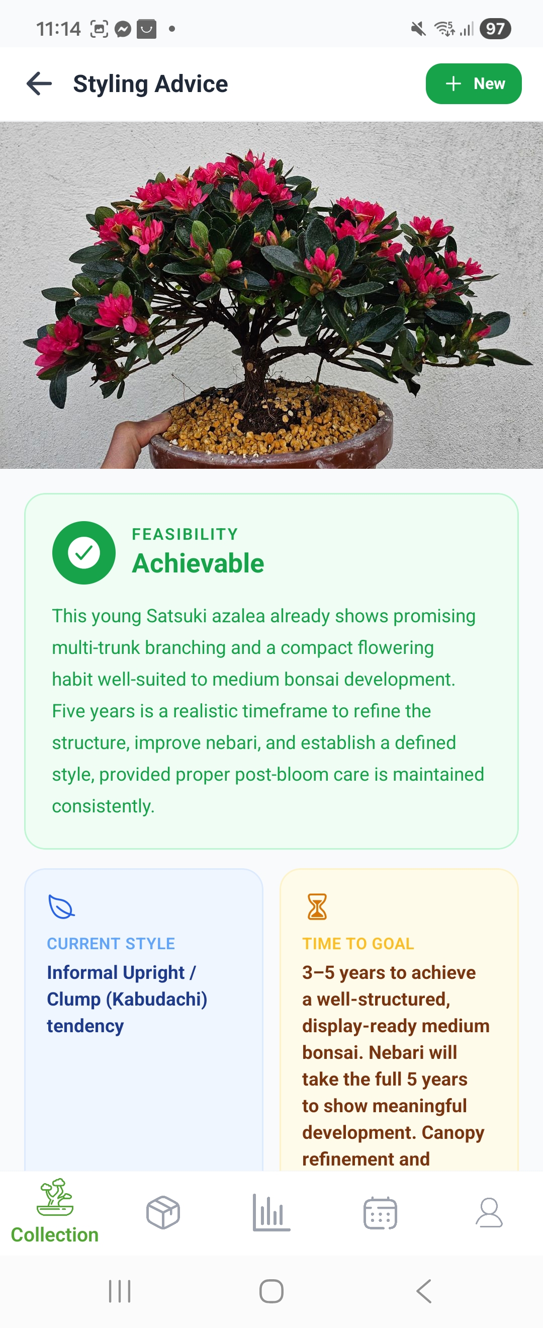 Styling advice screen